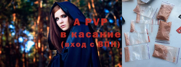 хмурый Аркадак