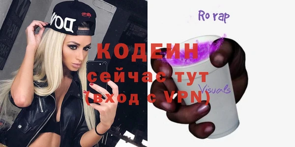 хмурый Аркадак