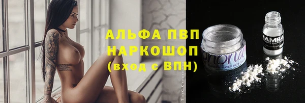 хмурый Аркадак