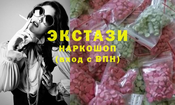 хмурый Аркадак