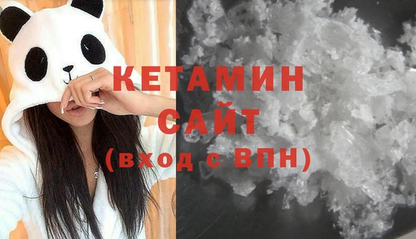 хмурый Аркадак