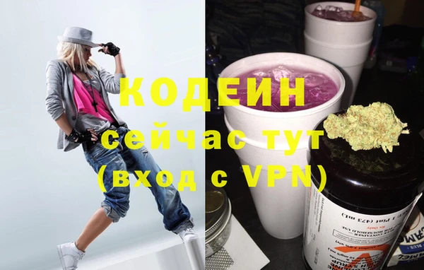 хмурый Аркадак