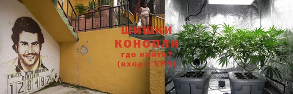 хмурый Аркадак