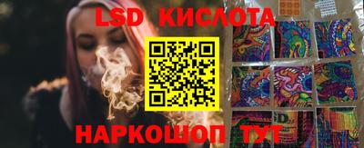 шишки Можга