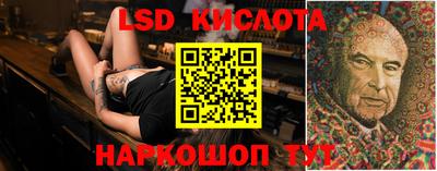шишки Моздок