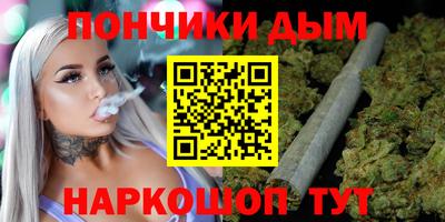 шишки Можга