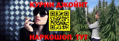 шишки Можга