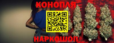 шишки Моздок