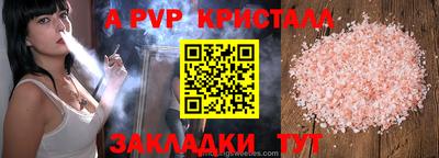шишки Можга