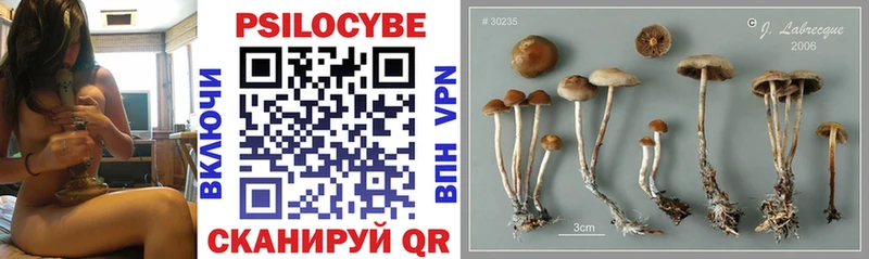 МЕГА ONION  наркошоп  Уссурийск  Галлюциногенные грибы Psilocybine cubensis 