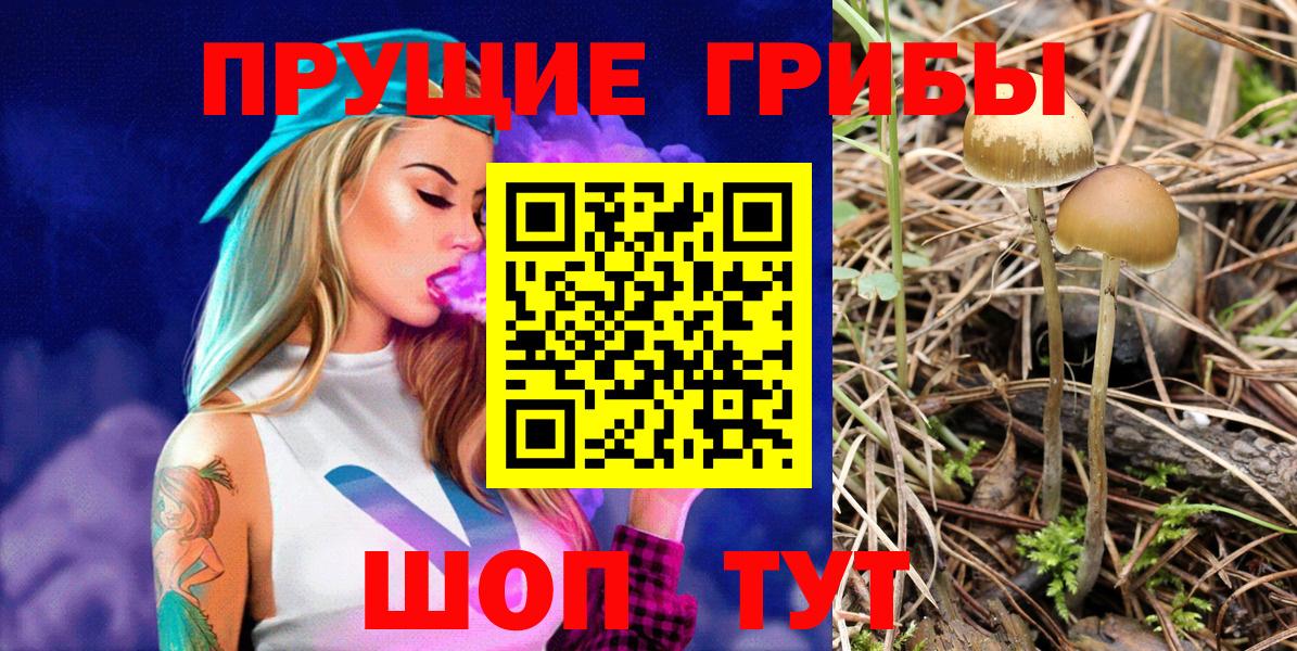 Галлюциногенные грибы прущие грибы Уссурийск