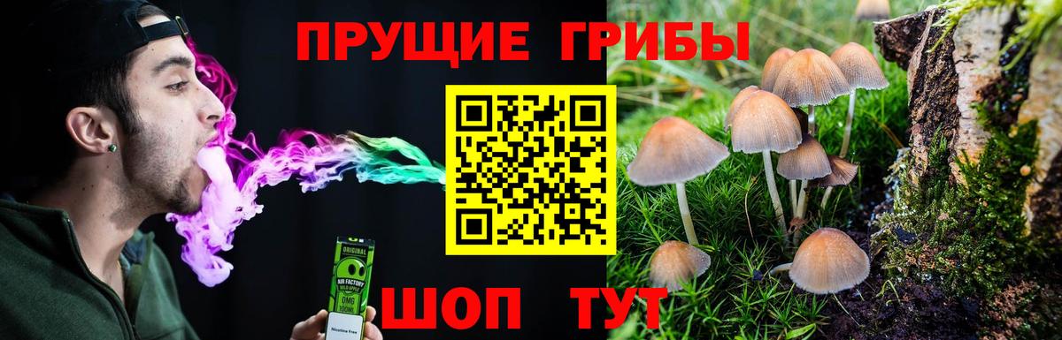 Уссурийск  Псилоцибиновые грибы Psilocybine cubensis  Вход с VPN 